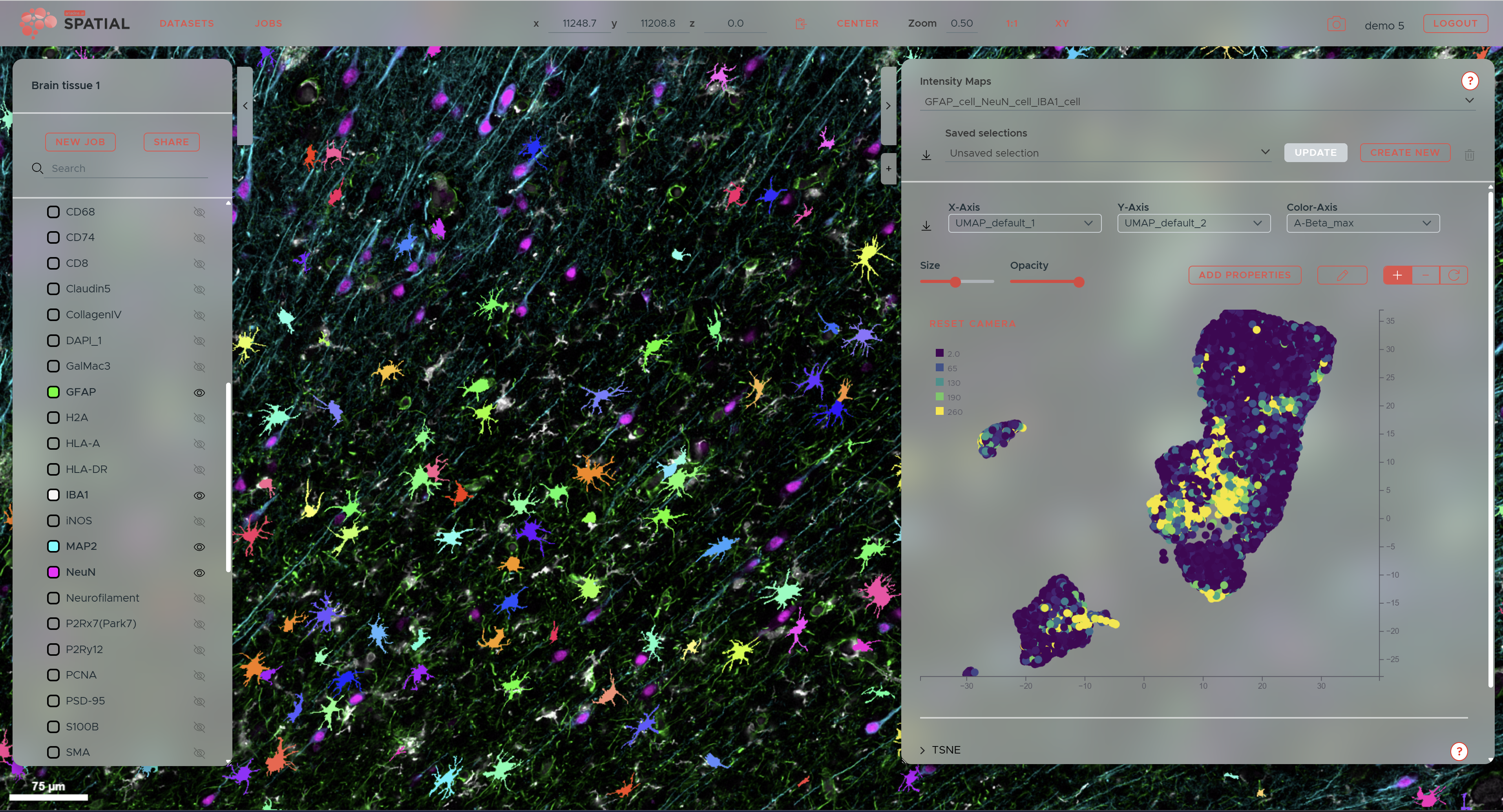 ariadne.ai SPATIAL interface